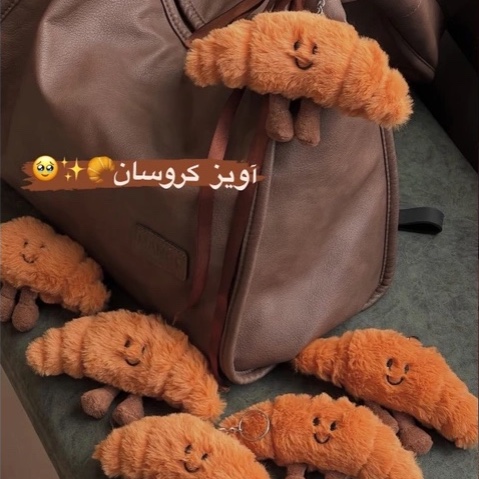 جا کلیدی و چارم بگ طرح کروسان